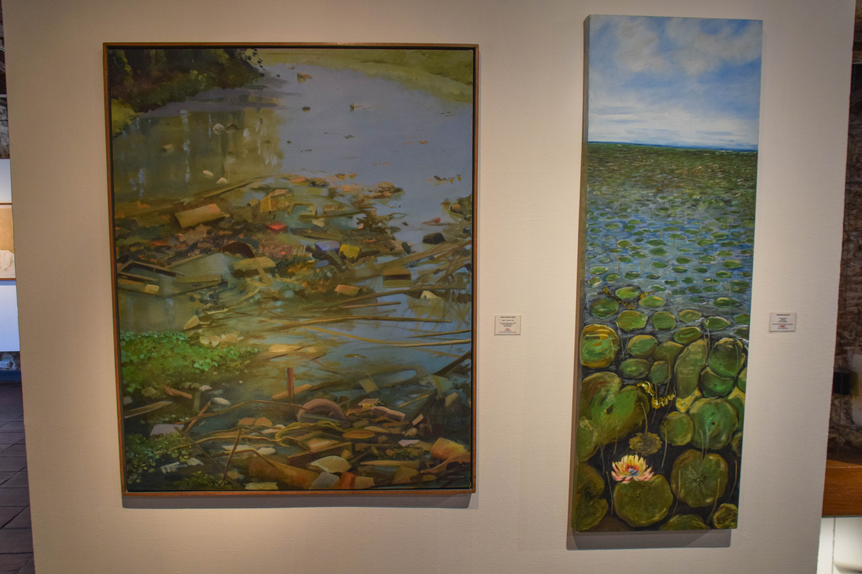 The second piece depicts the effect of pollution and waste in the wetland areas of Cartagena. The wetlands are an important breeding ground allowing the further propagation of any species. Destroying this habitat with garbage will surely lead to an ecosystem imbalance in the area.