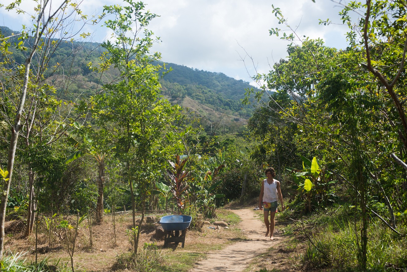 Agriculture interns at Kalu Yala, in Panama, work on this experimental farm. (Darby Hopper/Medill)