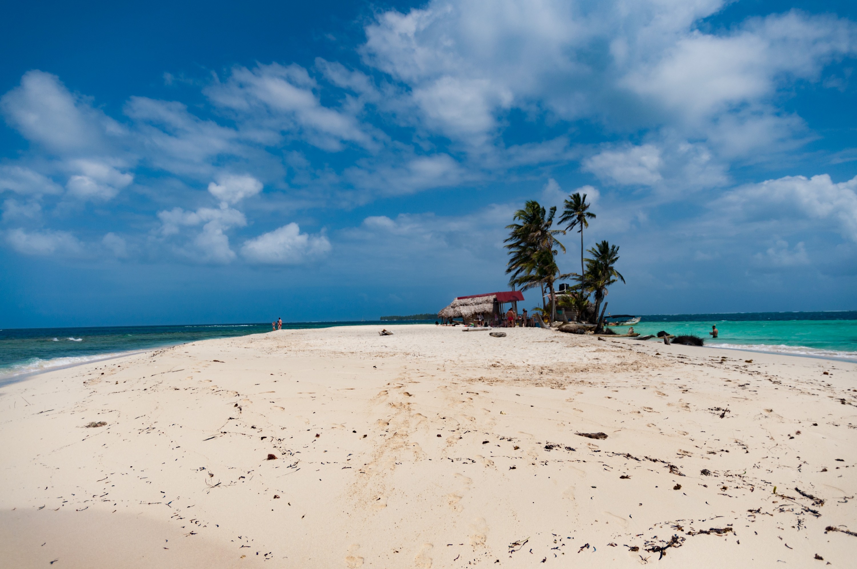 The cluster of palm trees and dwellings used to be at the center of the island, but storms and rising sea levels caused its eastern shore (at right) to sink back below the waves. Davies is worried about erosion on the western side of the island (at left), and says he is looking into building a seawall there.