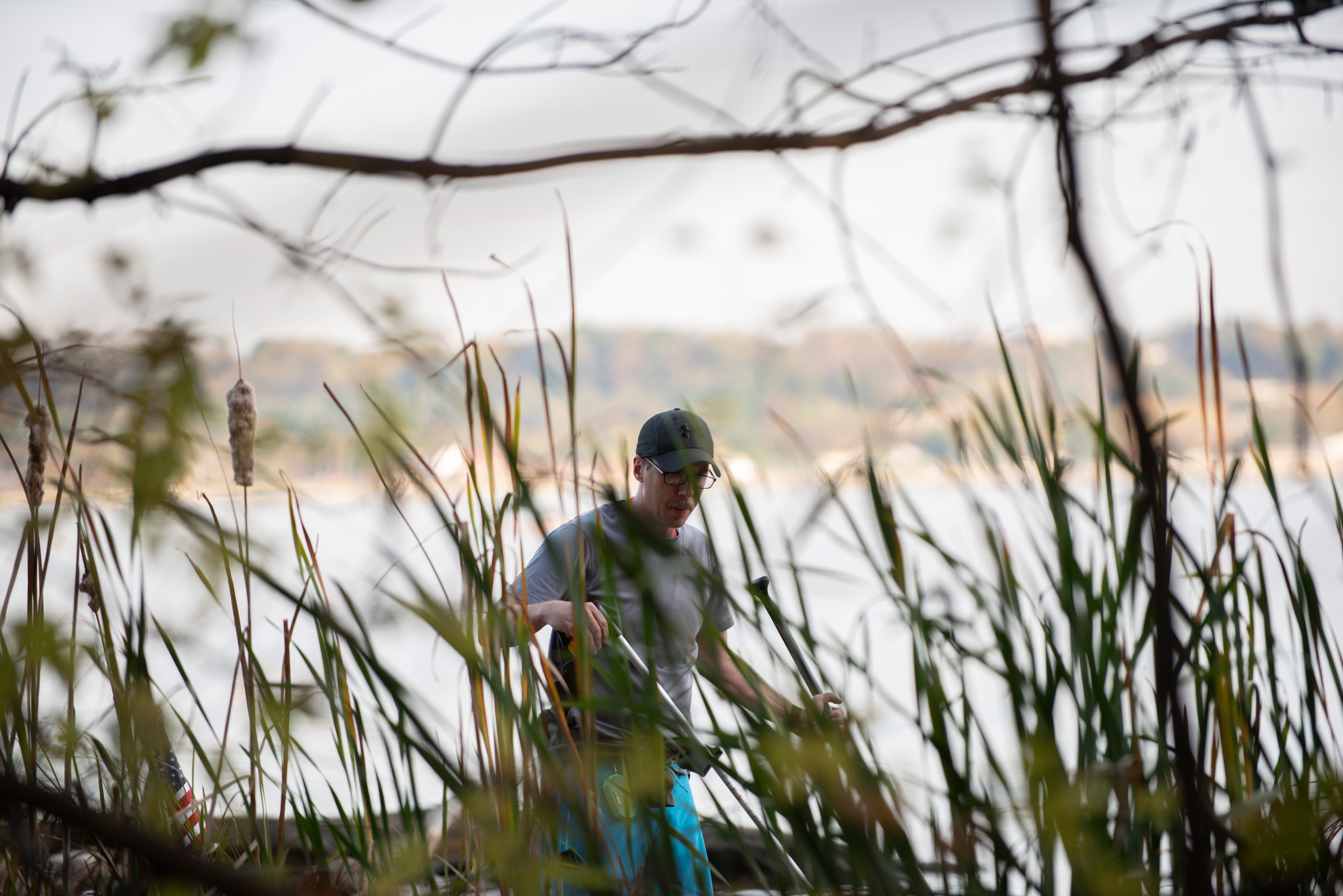 Joseph Wright is seen through cattails during a picking session on the Potomac River in Alexandria, VA on November 5, 2019.