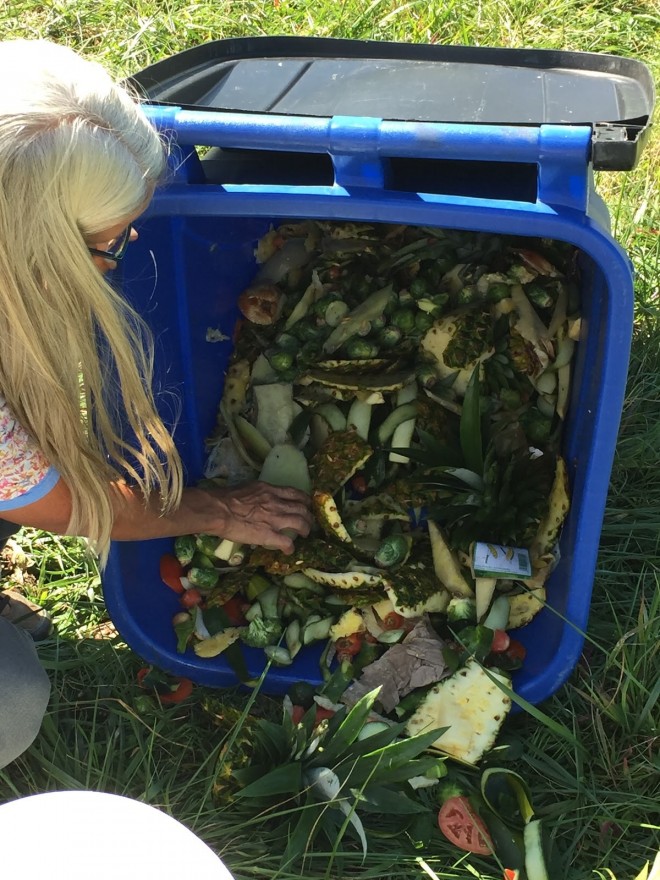 Carolyn Hoagland sorting through food waste to feed larvae. (Chris Hornsby, 2015)