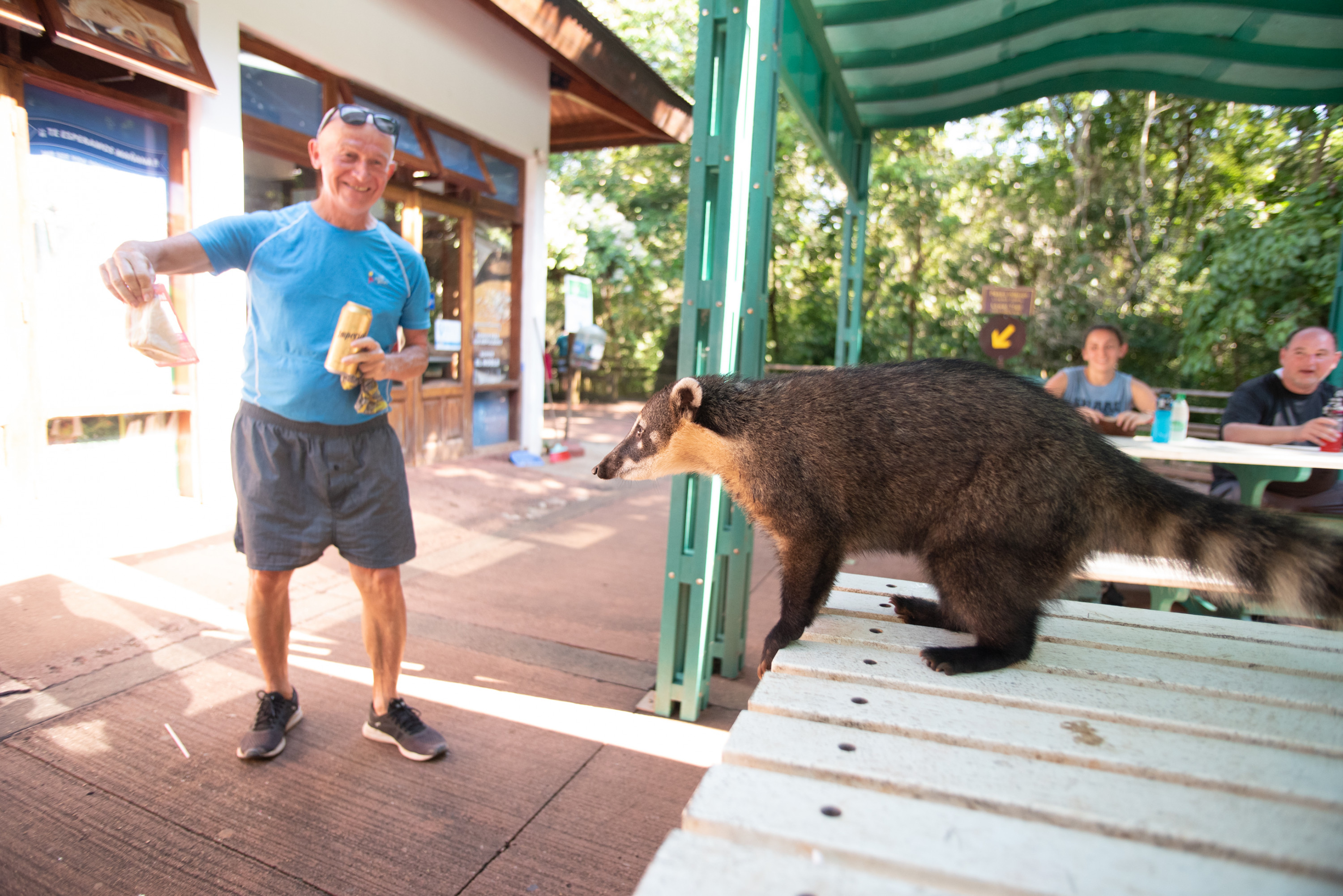 A man holds his food and beer away from a hungry coatí, who had just ambushed the person’s meal in Iguazú National Park.