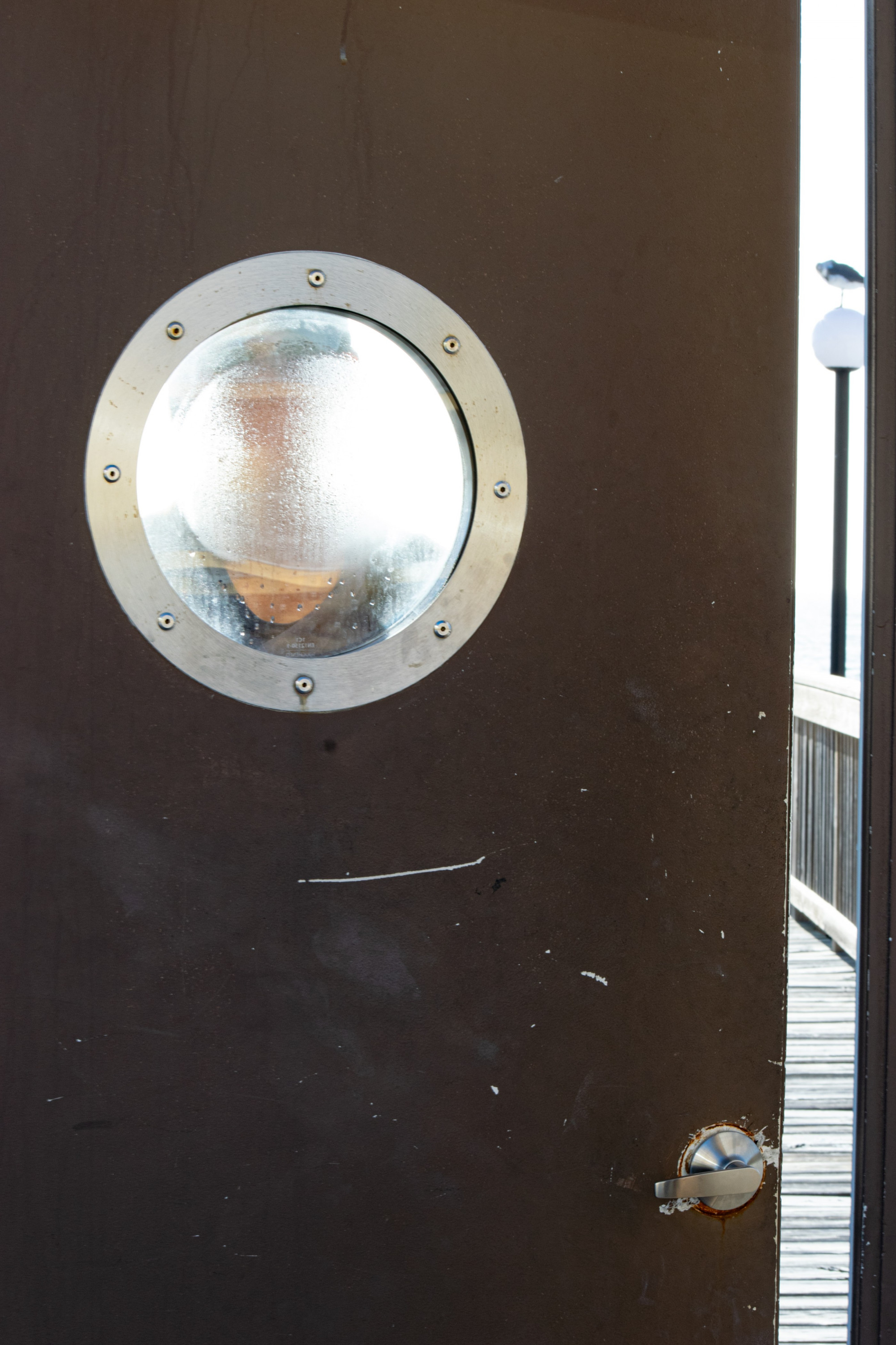 &quot;Peep&quot;  A patron of the Seaside Seabird Sanctuary peers through a window of a nearby dock that is the favored spot of some local seagulls.
