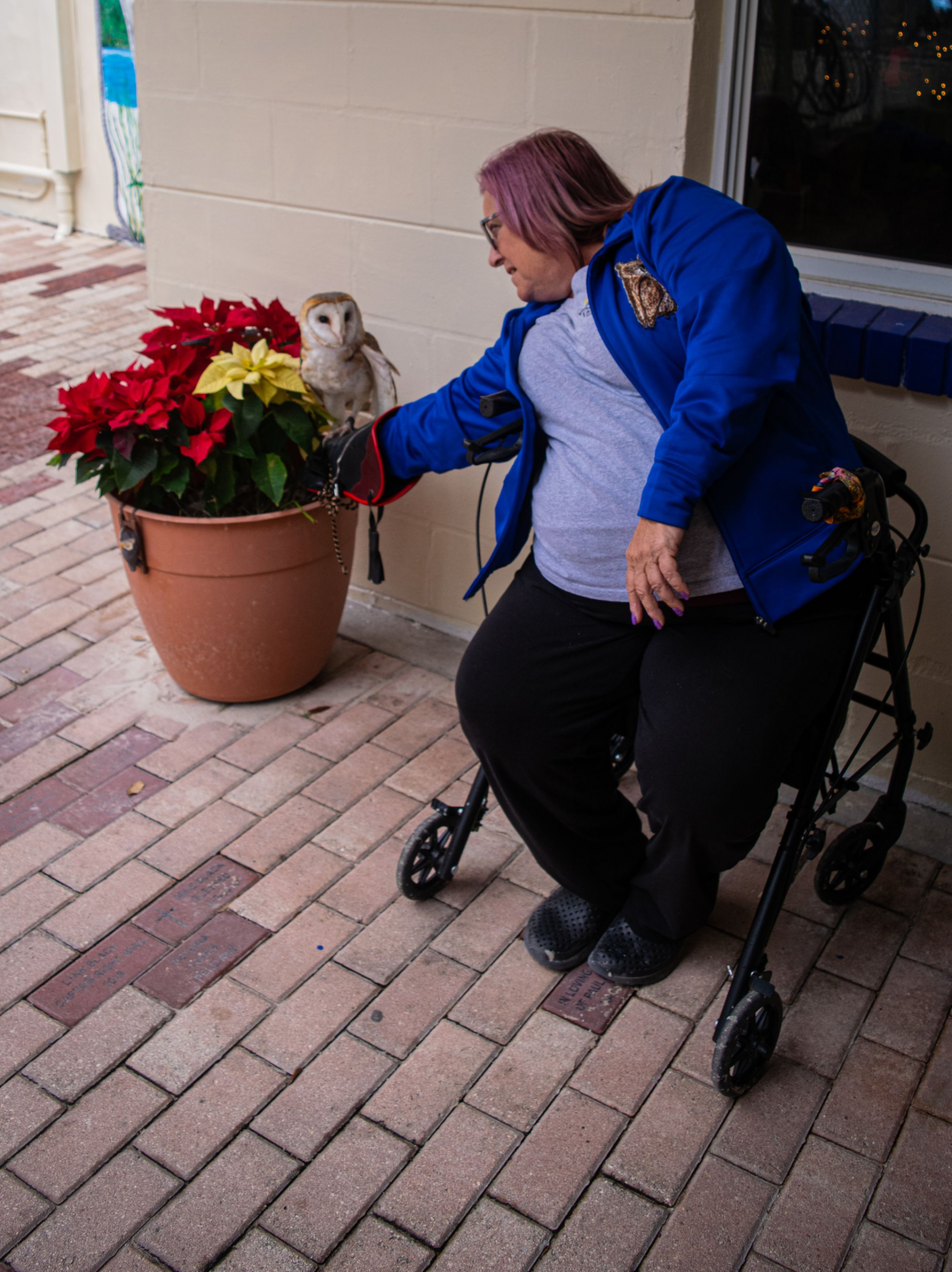 We&#039;ve never used props before!&quot;  An owl poses for a photo among flowers with her handler&#039;s help. This owl was dragged under a car and suffered wing damage. As a result, she is a permanent resident of the Sanctuary.