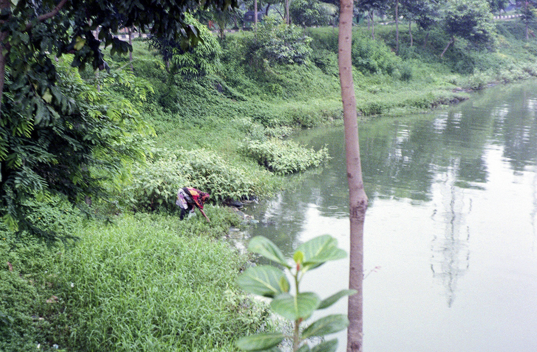 A woman picks through the trash along the grassy banks of Banani Lake. (Photos by Maura Fallon/George Washington University)