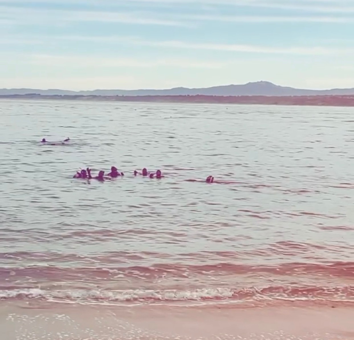 “Dive Tribe” swimming out to the kelp forest. (Photo courtesy Autumn Mckim)