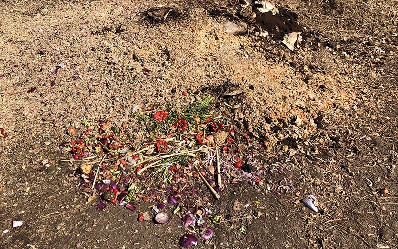 This is how a new pile of compost gets started on Northern Arizona University’s campus, with raw food scraps and coffee grounds.