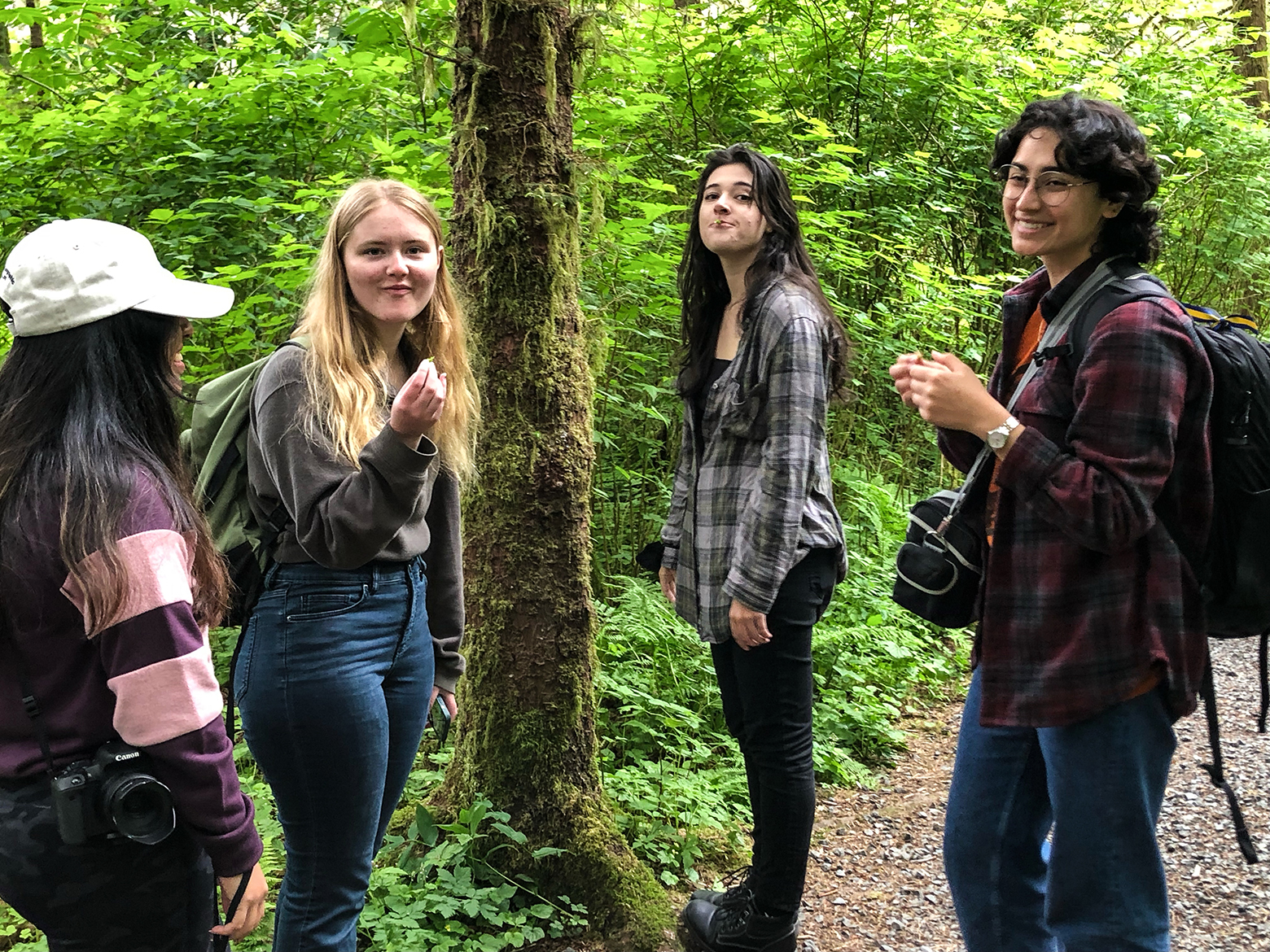From left: Jennifer Cuyuch, Delaney Graham, Halley Hughes, and Farzona Comnas, snack on spruce tips.
