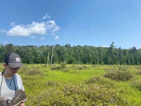 Student in the acidic peatland, with her boots wrapped around her neck and feet deep in the wetland.