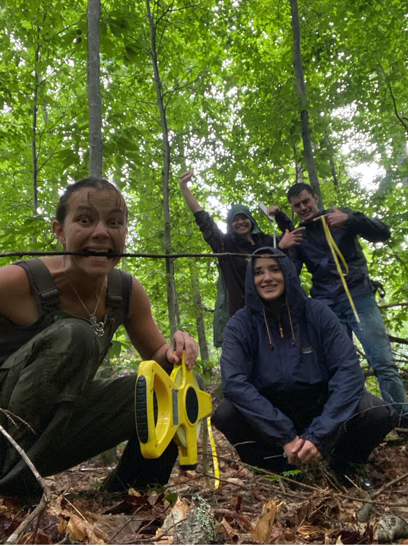 Students doing forest surveys taking group image.