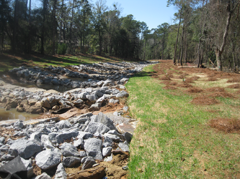 Joe’s Branch Tributary post-restoration one year.