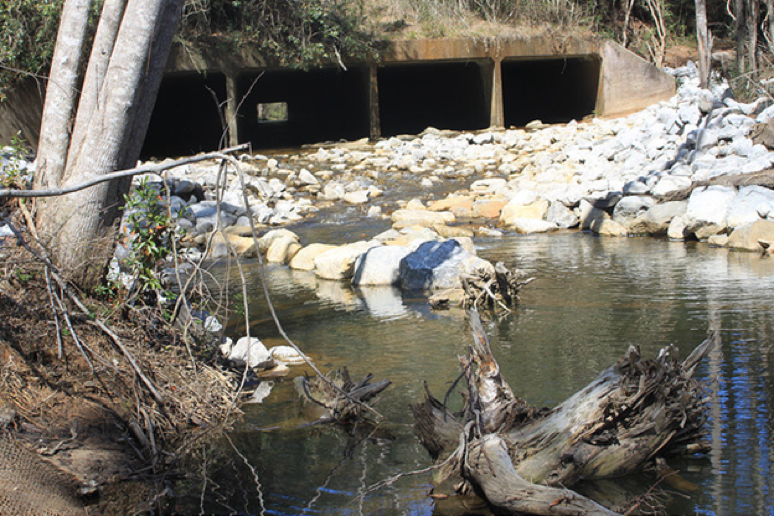 D’Olive Creek Tributary D4-D6 pre-restoration.