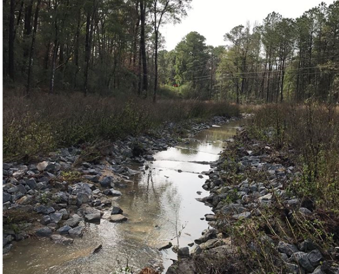 D’Olive Creek Tributary D4-D6 post-restoration six months.