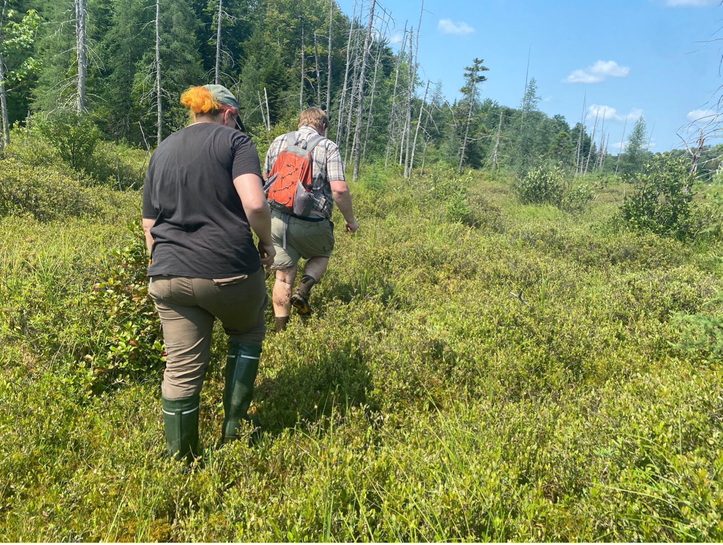 Student following moss biologist in wetland, learning as she walks.