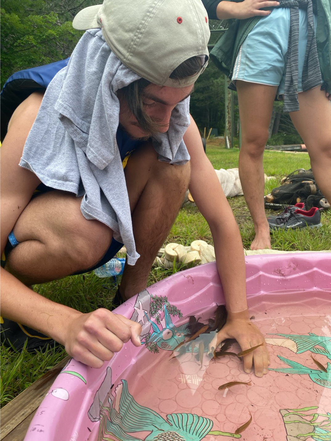 Student observing carp captured moments before using seine nets.