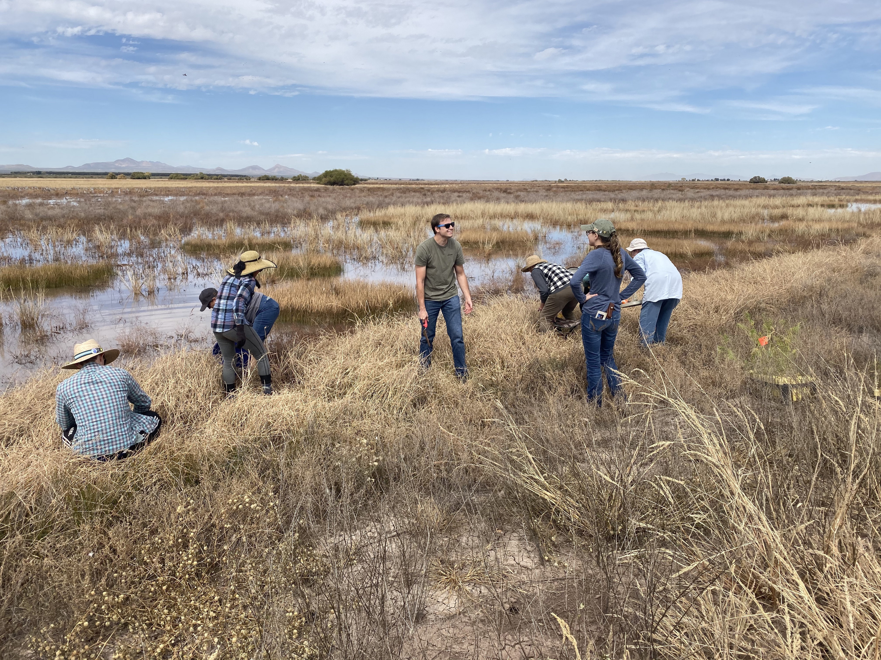 Volunteers spent five hours Nov. 2 digging holes and planting five varieties of milkweed in Whitewater Draw Wildlife Area, a wetlands in southeastern Arizona. (Photos by James Carr/Cronkite News)