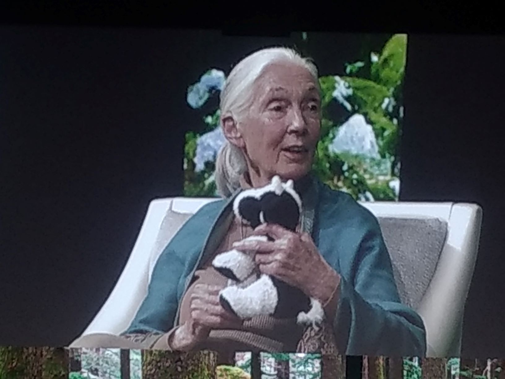 Jane Goodall, with the aid of a stuffed cow, stresses the importance of rain forests to mitigate for climate change during the “Global Climate Action Summit.” Rain forests are being cleared at an alarming rate to create grazing land for cattle. (Aaron Dorman/Medill)