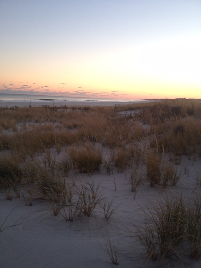 More of the dunes on Long Beach Island.