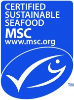 MSC_new_logo_vertical2_0.jpg