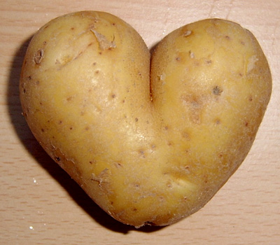 Potato_heart_mutation.jpg