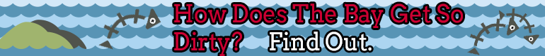 baylink.png