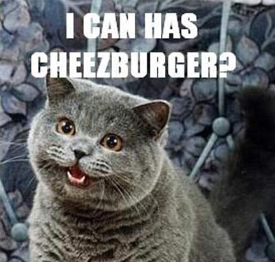 cheezburger_410_6.jpg