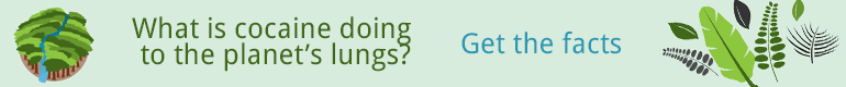 cocaaine.png