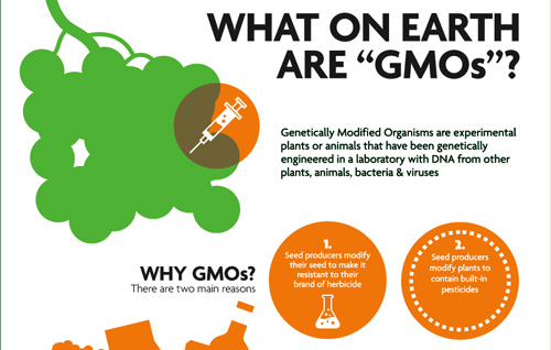 gmo-infographic.jpg