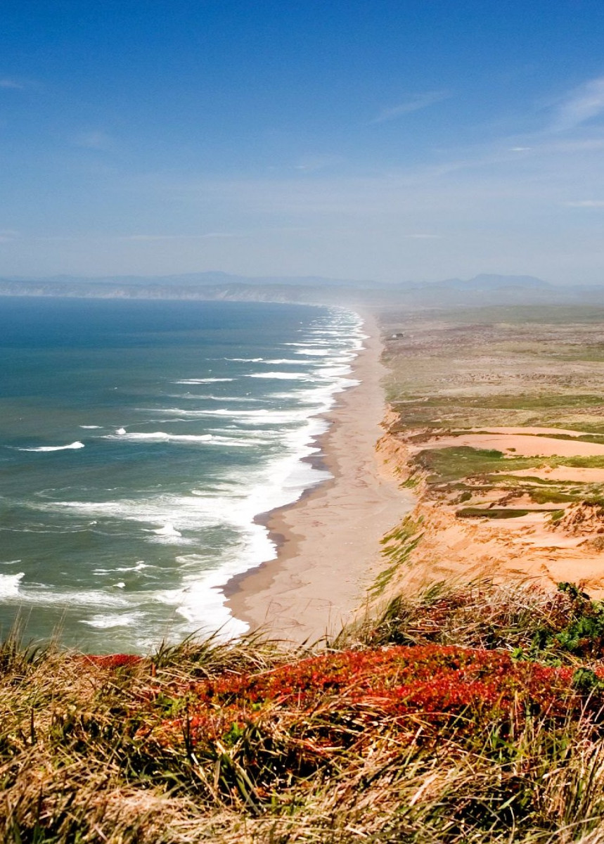 An image of a coastline taken from atop a high hill. A beach extends far into the distance. 
