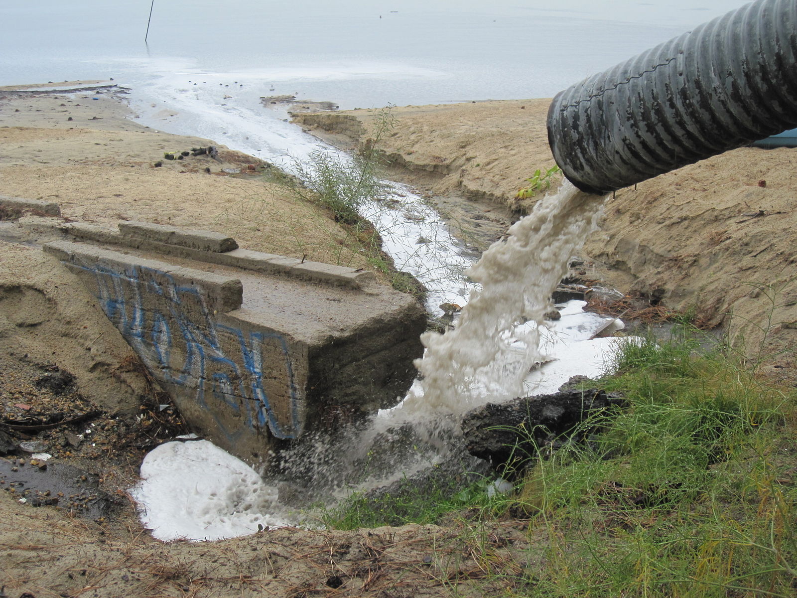A large metal pipe spews water into a large lake with sandy banks.
