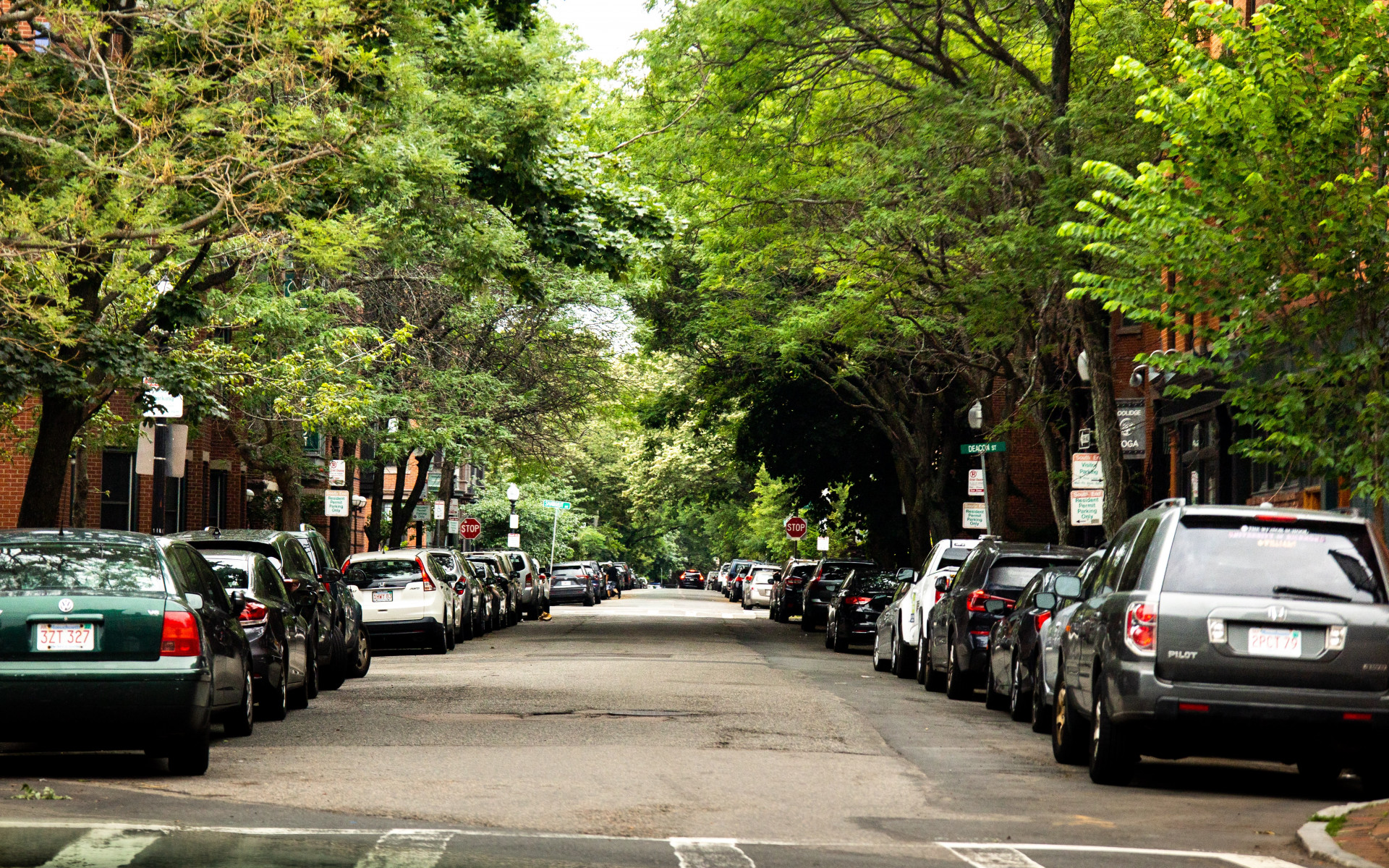 A city street in Boston, lined by parked cars and green trees.