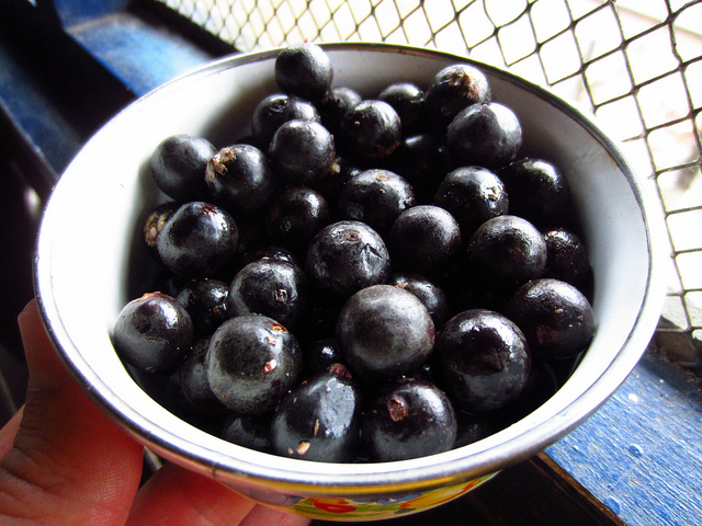 Acai berries