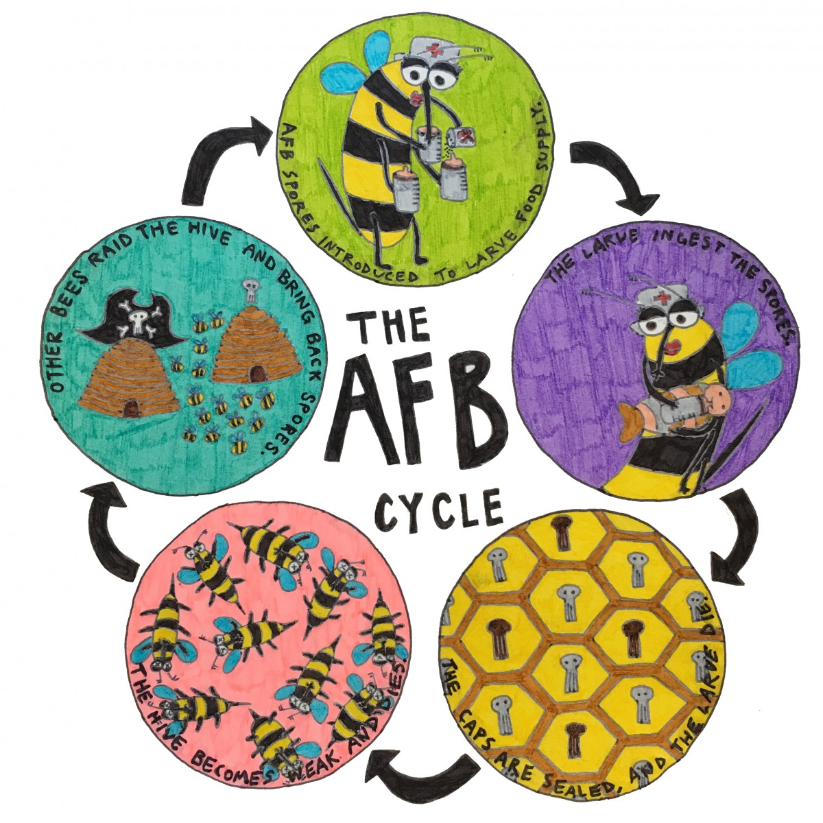 BeeCycle_byEllie.jpg