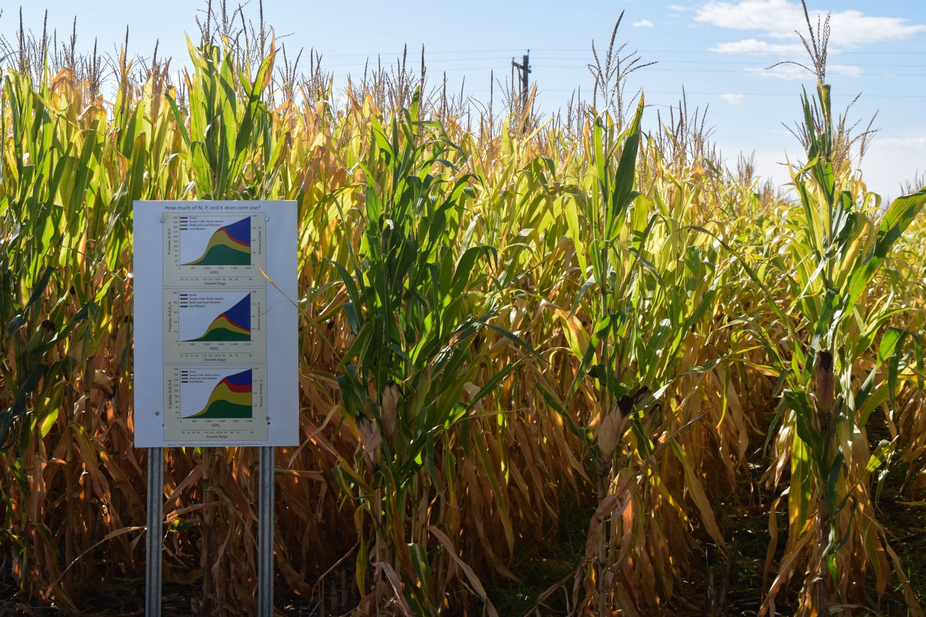 Field experiment
