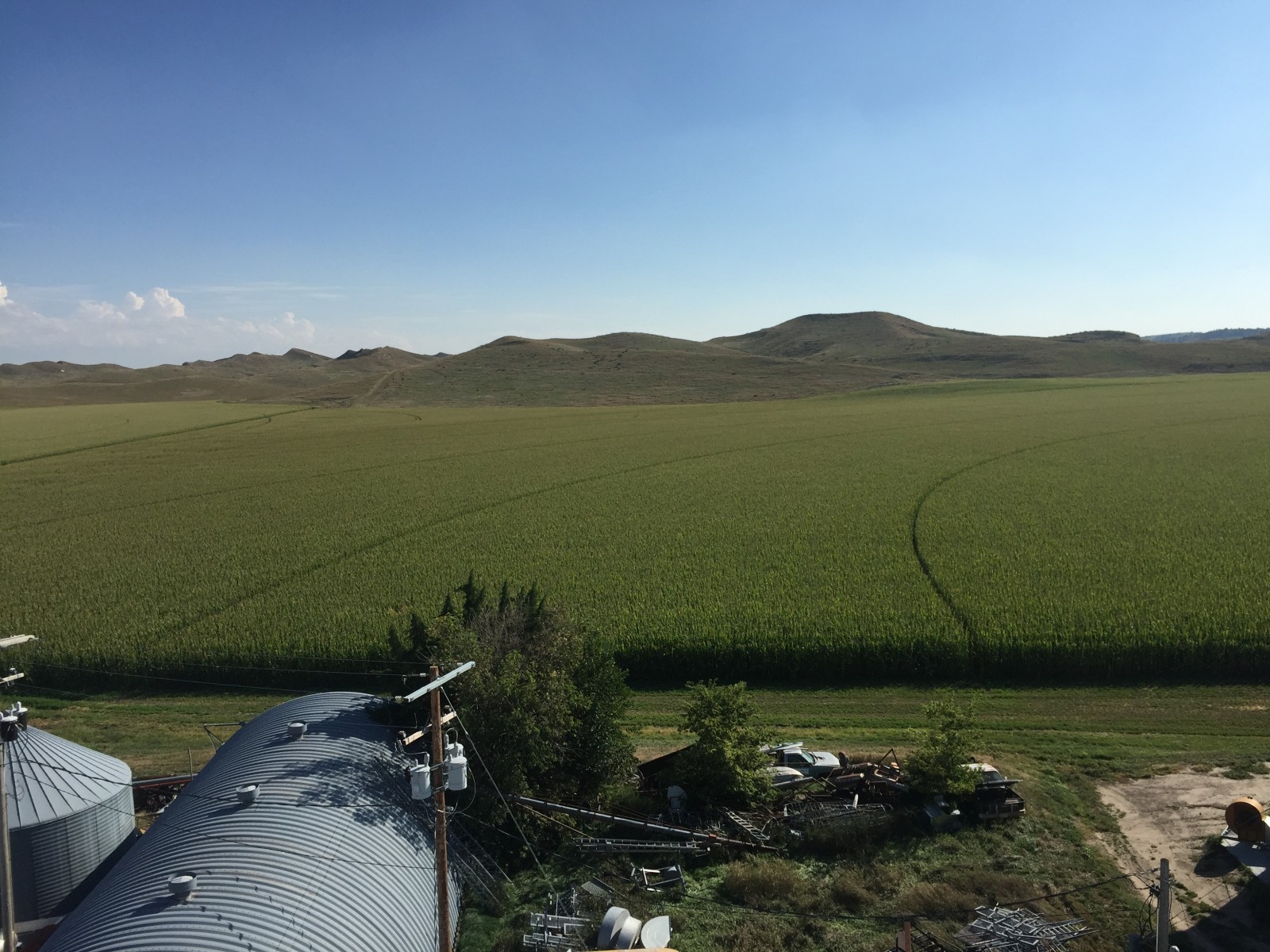 View from the silo