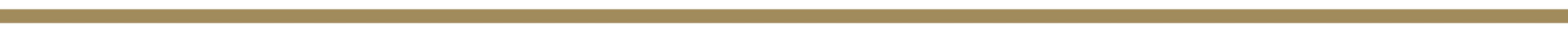 Report_Images-divider.png
