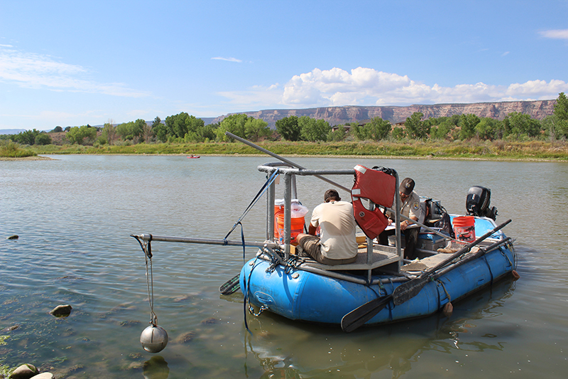 Electrofishing