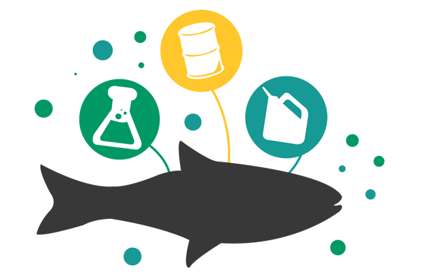 microbead_toxin_exposure_graphic_sb-01_cropped_600px.png