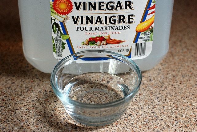 vinegar-768948_640.jpg