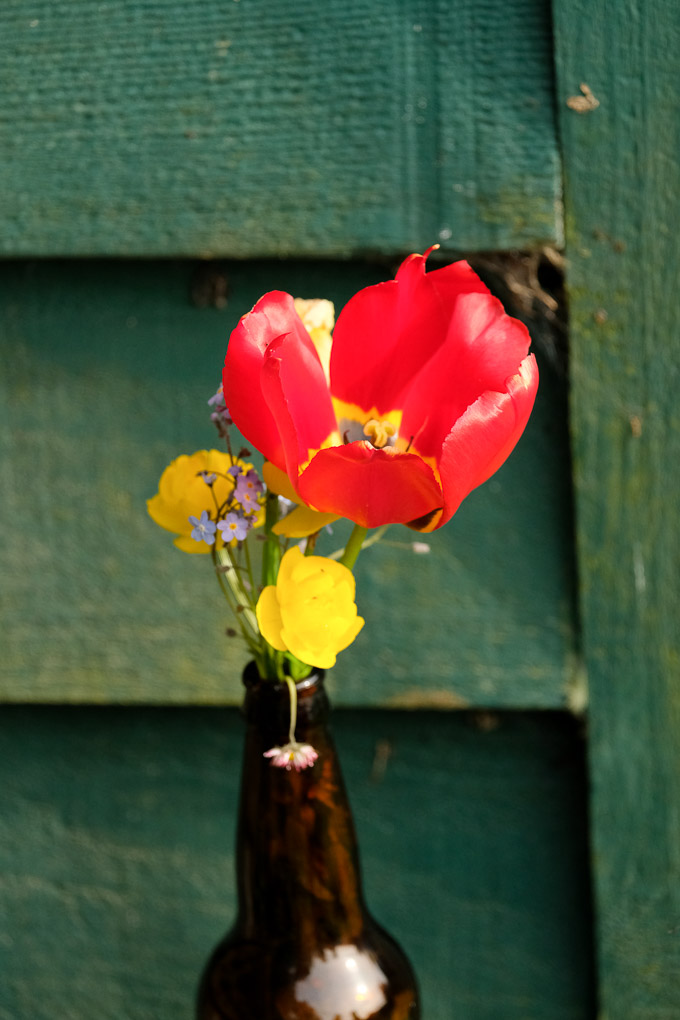 bottle as vase