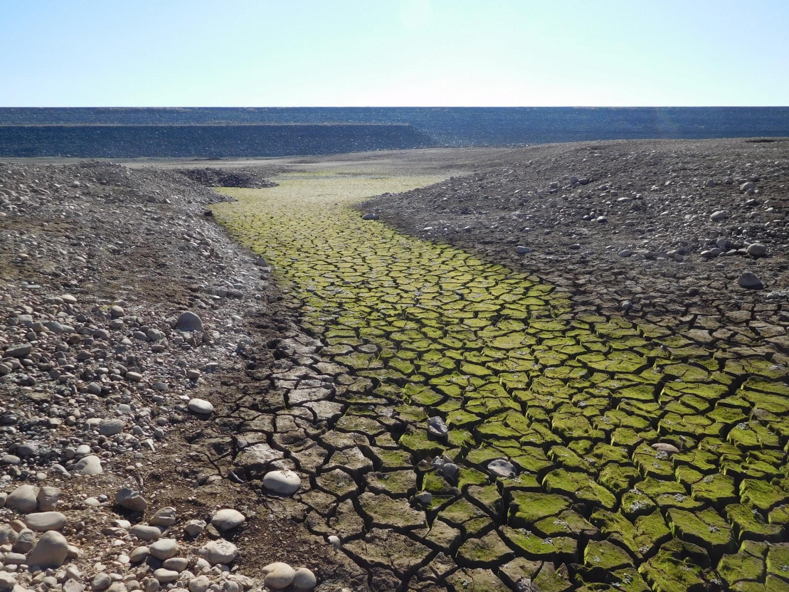 Drought