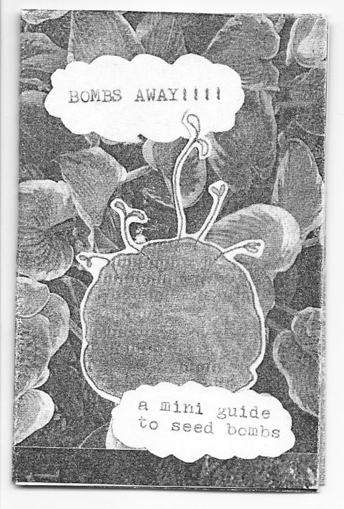 Bombs away seed bomb art