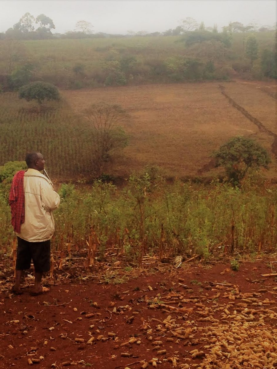 Jazson Julius surveys damage caused by elephants