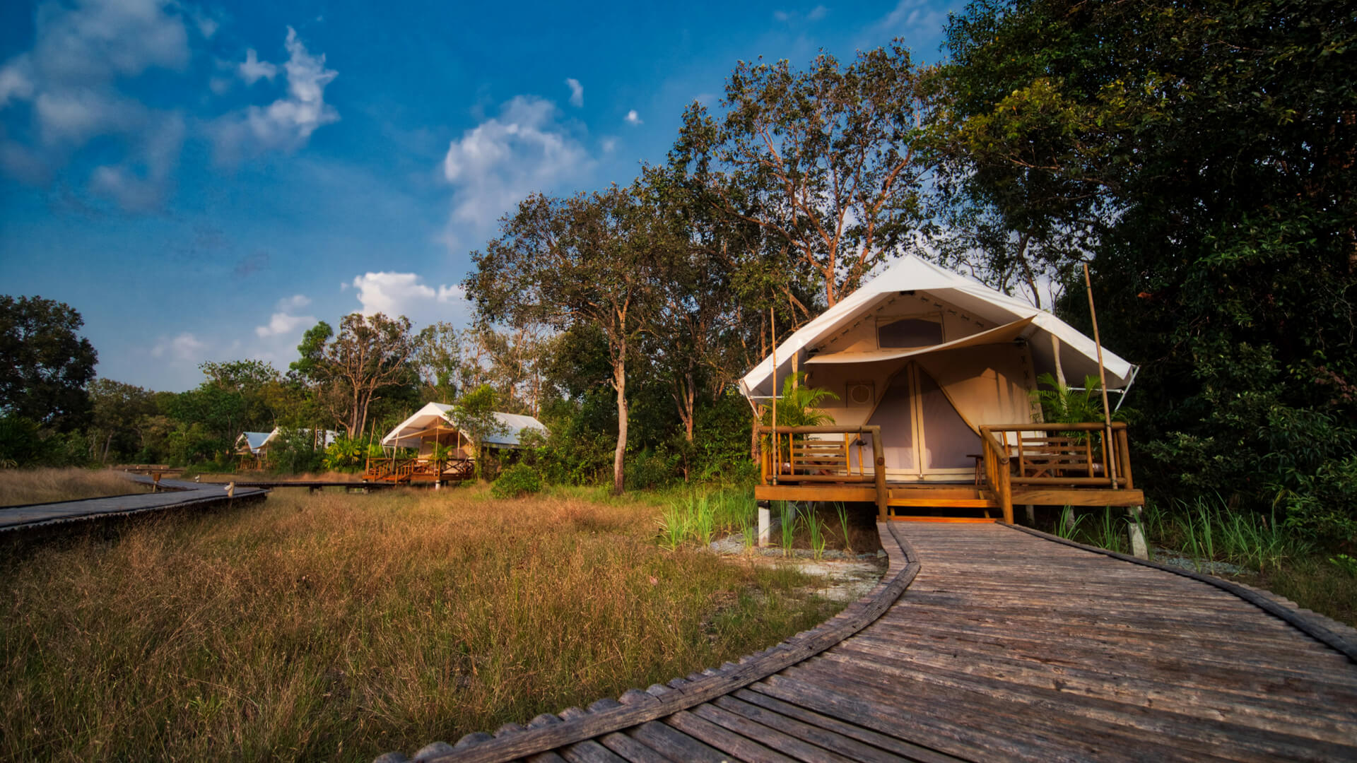 YSI cabins