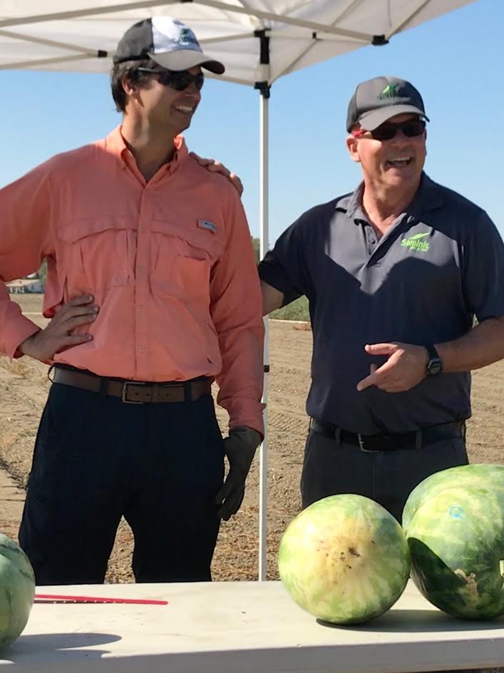 Watermelon breeder