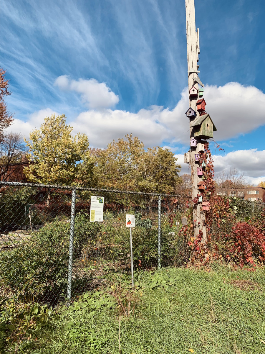 Multiple bird houses posted onto a tall wooden post next to a wire fence under a cloudy blue sky.