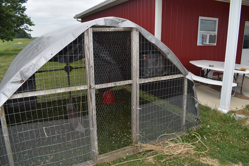 A structure several feet high with slanting sides, a silver tarp covering serving as a roof, and metal wire grids on the sides sits on a green field aside a red barn.