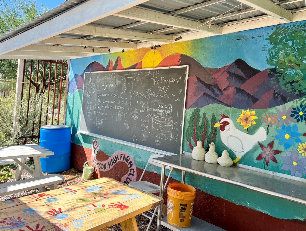 The colorful mural decorating the front of Tucson High school’s garden shed and chicken coop