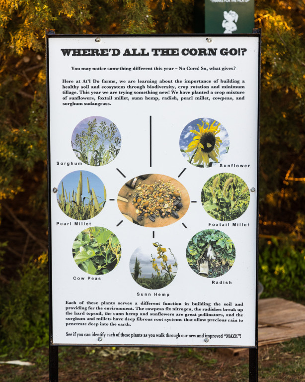 A sign at At'l Do Farms depicting each of the seven types of crops used to replace corn in this year's maze.