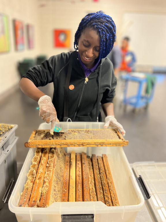 A teenager holds a small tool to a honey comb over a large plastic tub filled with other honey combs at the Garfield Park Conservatory in Chicago.